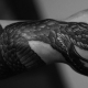 Quels sont les tatouages ​​​​de serpent mâles et où les obtenir?