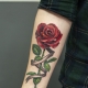 Overview of men's tattoos in the form of a rose on the arm and their location